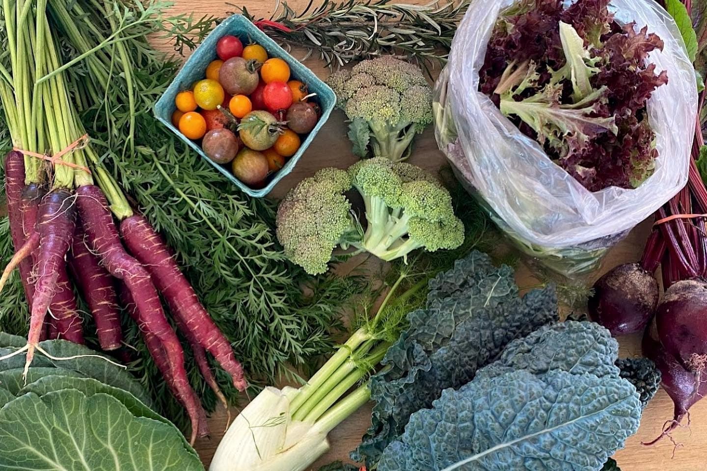 A harvest of purple carrots, kale, fennel, broccoli and tomatoes